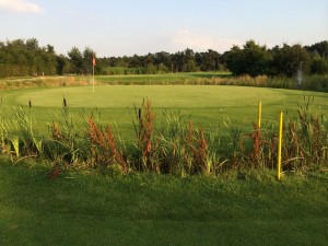 Golf Jammertal Partner Greenfeemitgliedschaft